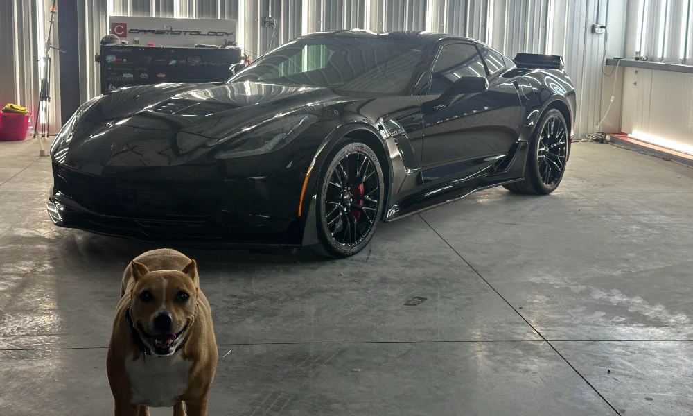 Black C7 Corvette front three-quarter view with mirror-like gloss after paint correction, Stek PPF, and IGL ceramic coating at Carsmotology in Boerne, TX